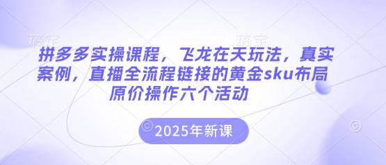 拼多多实操课程，飞龙在天玩法，真实案例，直播全流程链接的黄金sku布局原价操作六个活动-知库商学院