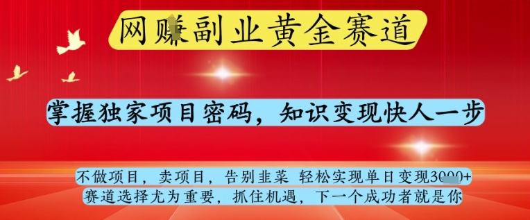 网创副业黄全赛道，掌握独家项目密码，知识变现快人一步，告别韭菜轻松实现单日变现1k+【揭秘】-知库商学院