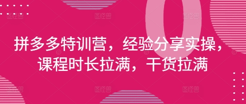 拼多多特训营，经验分享实操，课程时长拉满，干货拉满(更新25年4月)-知库商学院