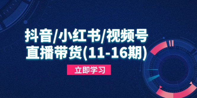 抖音/小红书/视频号/直播带货(11-16期-知库商学院