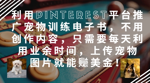 利用Pinterest平台推广宠物训练电子书，不用创作内容，只需要每天利用业余时间，上传宠物图片就能挣美金!-知库商学院