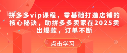 拼多多vip课程，零基础打造店铺的核心秘诀，助拼多多卖家在2025卖出爆款，订单不断-知库商学院