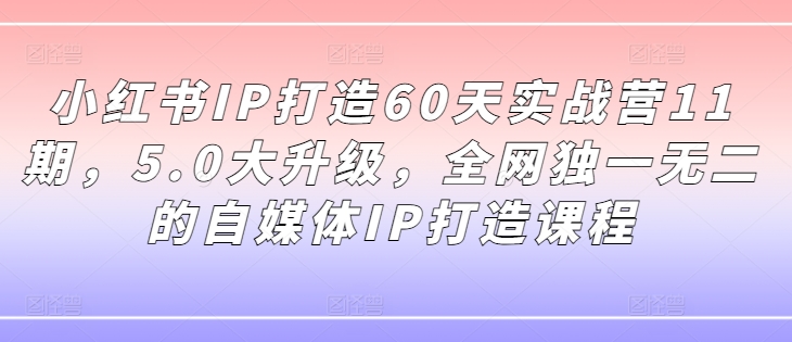 小红书IP打造60天实战营11期，5.0大升级，全网独一无二的自媒体IP打造课程-知库商学院