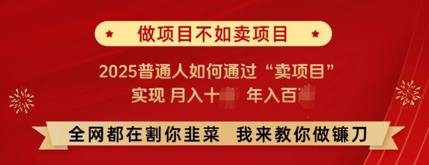 必看，做项目不如卖项目，2025普通人如何通过“卖项目”实现月入十个，年入百个-知库商学院