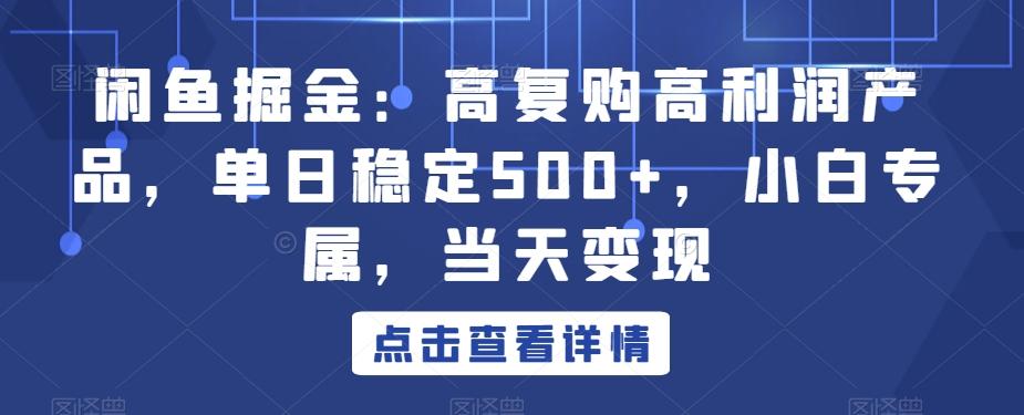 闲鱼掘金：高复购高利润产品，单日稳定500+，小白专属，当天变现-知库商学院