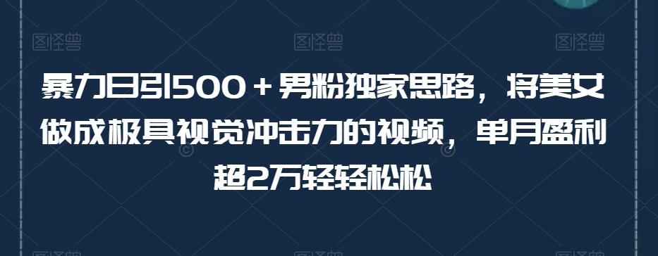 暴力日引500＋男粉独家思路，将美女做成极具视觉冲击力的视频，单月盈利超2万轻轻松松-知库商学院