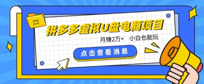 拼多多虚拟U盘电商红利项目：月赚2万+，新手小白也能玩-知库商学院