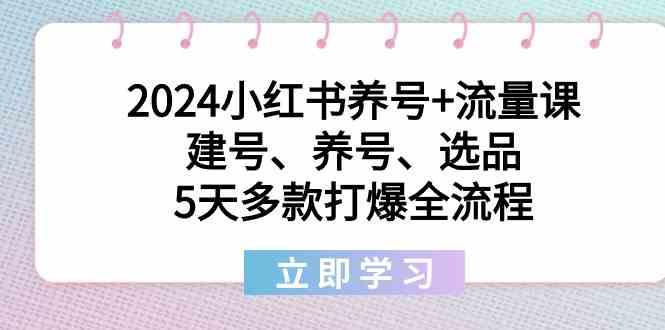 2024小红书养号+流量课：建号、养号、选品，5天多款打爆全流程-知库商学院