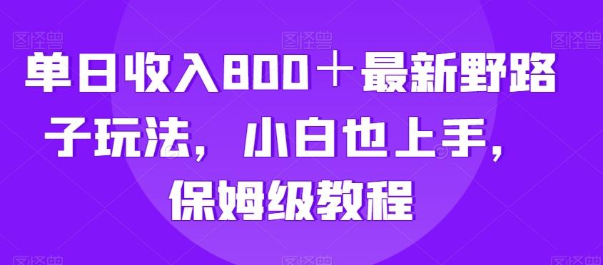 单日收入800＋最新野路子玩法，小白也上手，保姆级教程-知库商学院