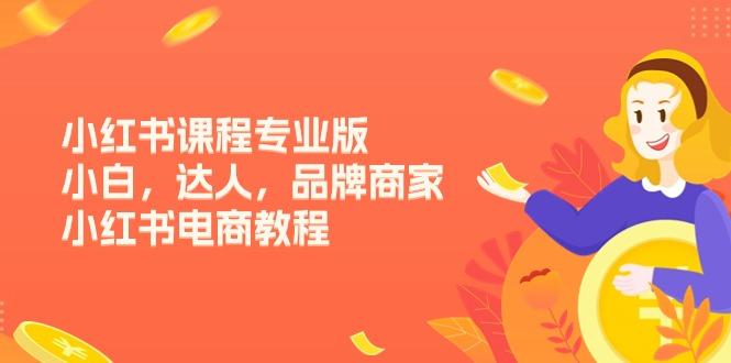 小红书课程专业版，小白，达人，品牌商家，小红书电商教程(15节-知库商学院