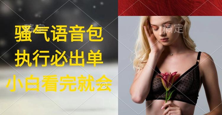 (9589期)执行就出单，日入2000+，超火骚气语音包，小白看完课程就能马上实操-知库商学院