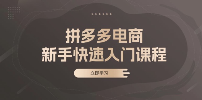 拼多多电商新手快速入门课程：涵盖基础、实战与选款，助力小白轻松上手-知库商学院