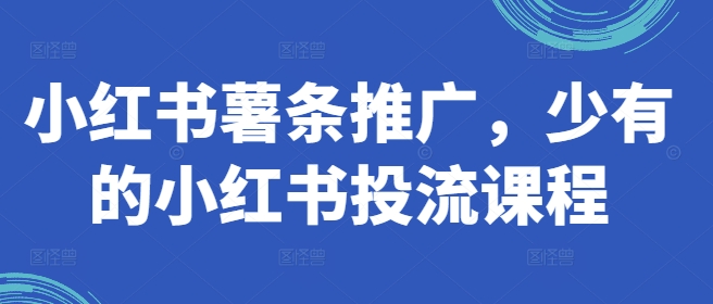 小红书薯条推广，少有的小红书投流课程-知库商学院