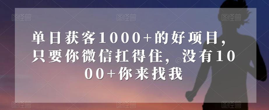 单日获客1000+的好项目，只要你微信扛得住，没有1000+你来找我【揭秘】-知库商学院