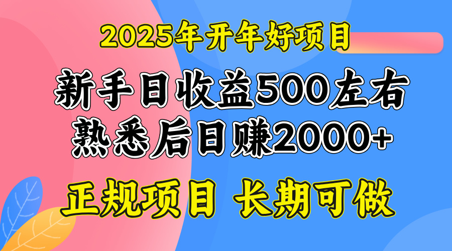 2025开年好项目，单号日收益2000左右-知库商学院