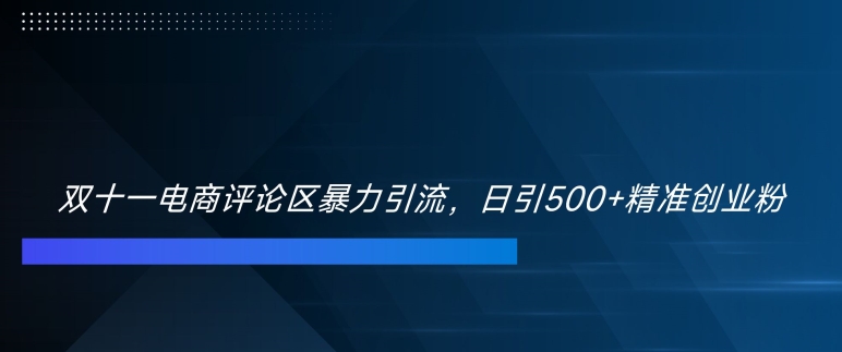 双十一电商评论区暴力引流，日引500+精准创业粉【揭秘】-知库商学院