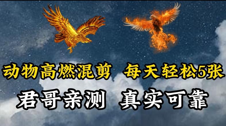 动物超燃混剪，每天轻松5张，剪辑简单大家爱看【揭秘】-知库商学院