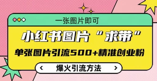 小红书图片‘求带’爆火引流法，单张图片引流500+精准创业粉【揭秘】-知库商学院
