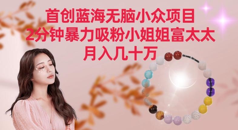 首创蓝海无脑小众项目，2分钟暴力吸粉小姐姐富太太，月入几十万【揭秘】-知库商学院